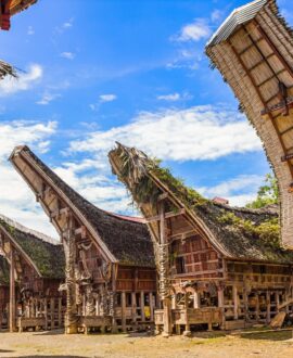 Tanah Toraja